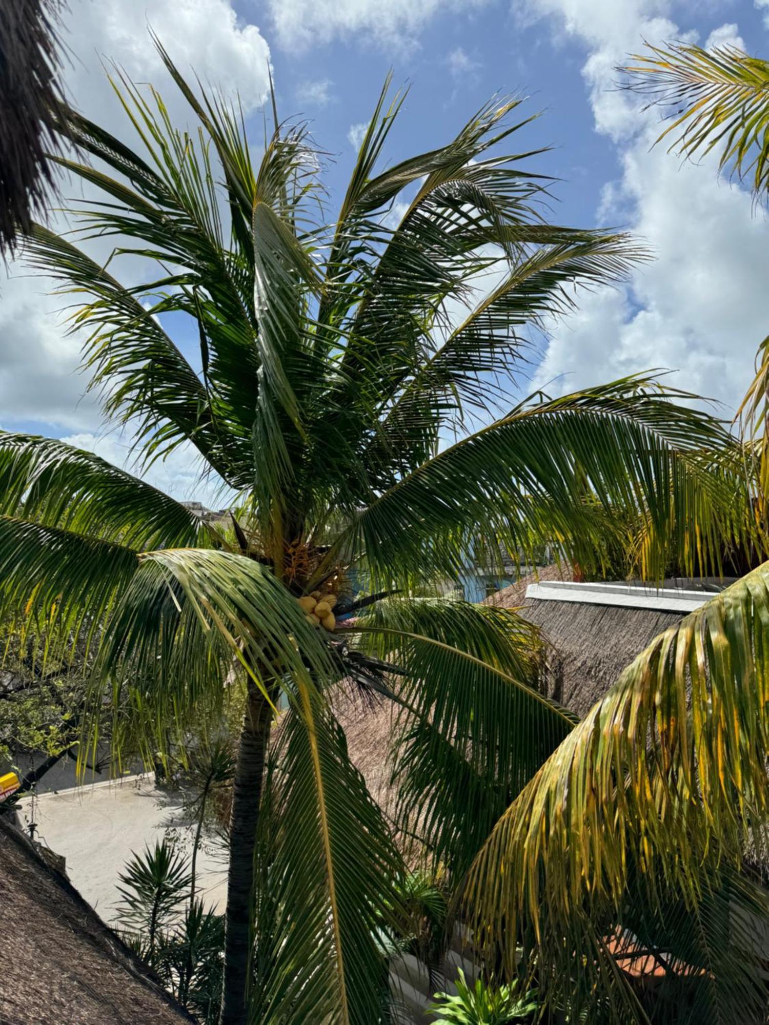Kin Ha Tulum Hotel Luaran gambar