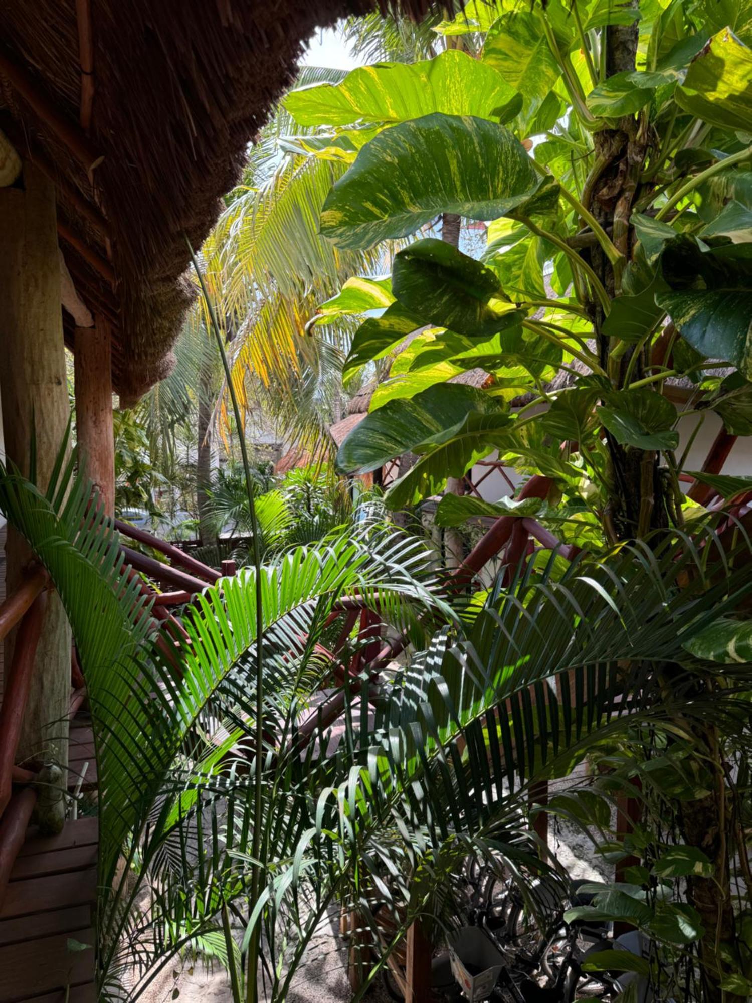 Kin Ha Tulum Hotel Luaran gambar