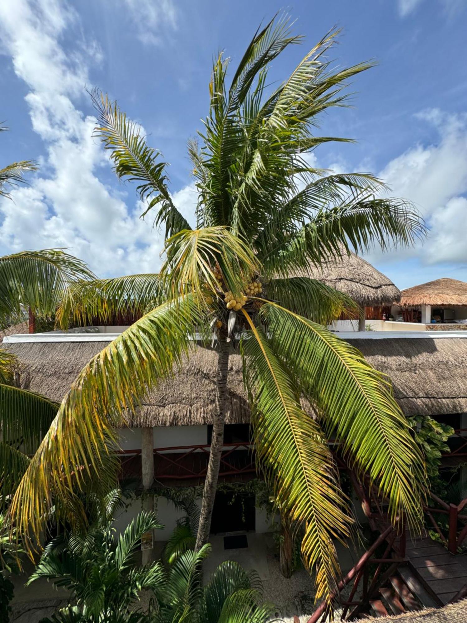 Kin Ha Tulum Hotel Luaran gambar